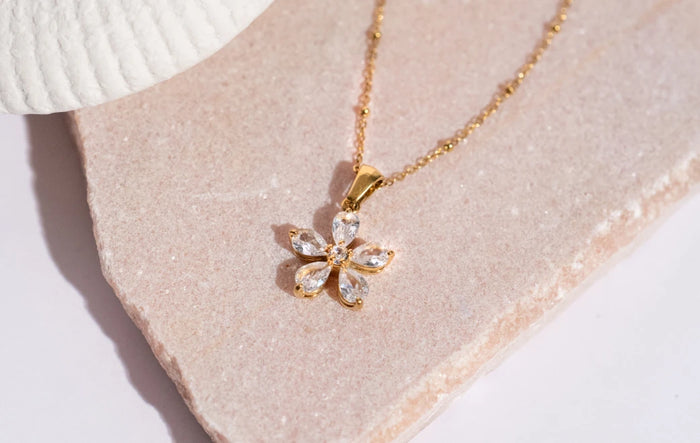 First Collection Launches